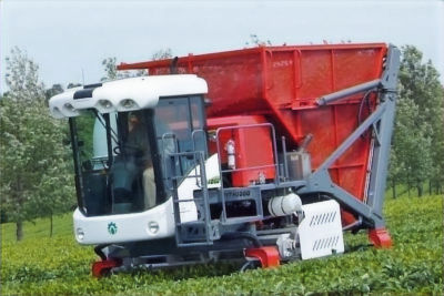 De Misiones al mundo: Metalúrgica Lory llega a la cosecha de tabaco.