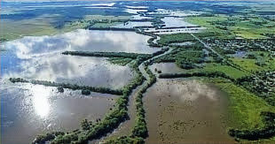 (Gentileza infobae.com)