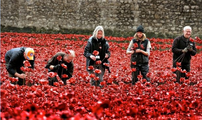 Picking Poppies