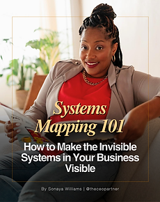 Systems Mapping 101 (Sonaya).png
