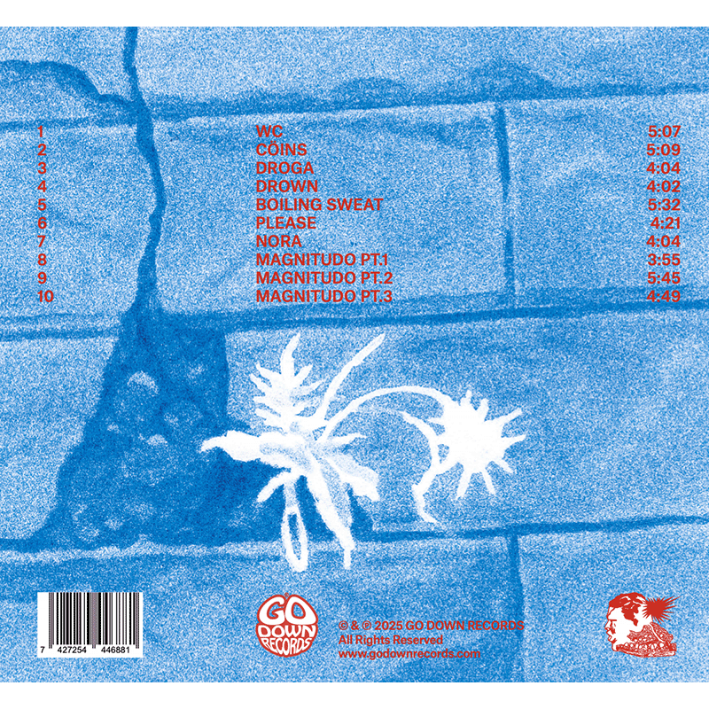 Thumbnail: Percossa Fossile's Magnitudo back cover