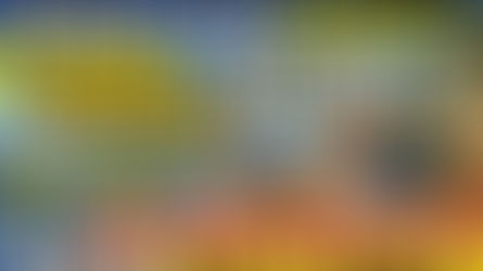  菊谷組の仕事を徹底解説①「重機」の仕事ってぶっちゃけどう？