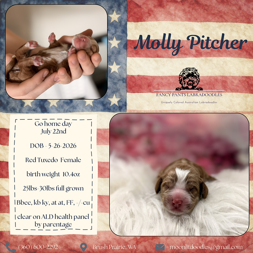 Molly litter day 1