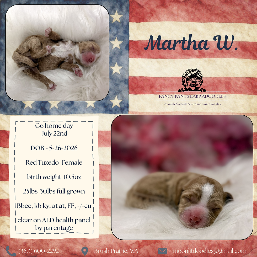 Martha litter day 1