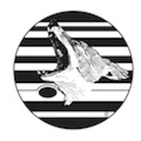 Jupiter Coyote logo