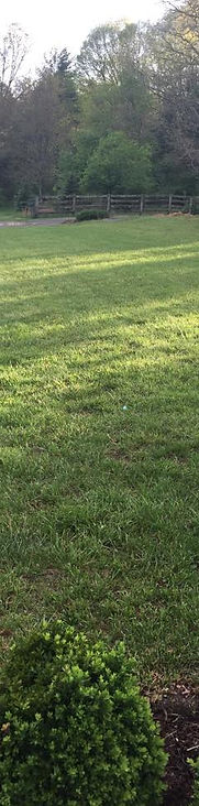 yard