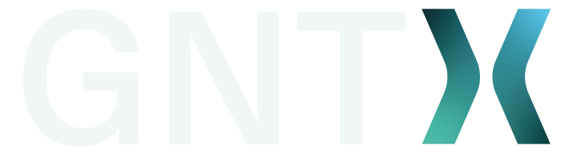GNT-X logo.png