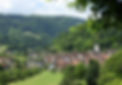 alsace-nature-propose-de-decouvrir-les-paysages-et-la-flore-typique-autour-de-saint-ursann
