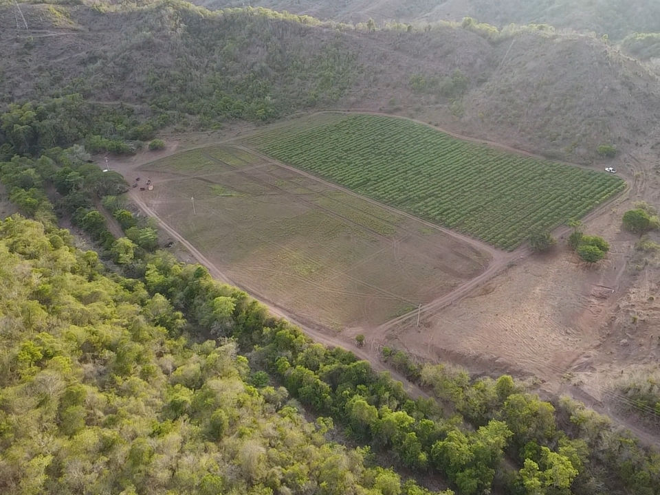 dji_fly_20260718_184453_0_1784421893053_photo_low_quality.jpg