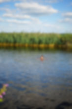 ree