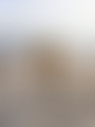 Winterzauber in Grömitz: wo das Strandglück zu Hause ist.