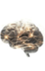 Solar inverters and batteries of Solar-In are smart