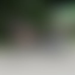 Hanna's journey from Olympian to harness racing success