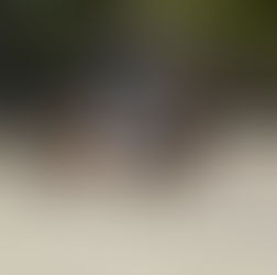 Lead Up To London: The Olympics are almost here