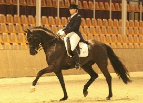 February 2013 Update