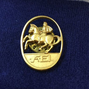 Mary Hanna Receives FEI Award