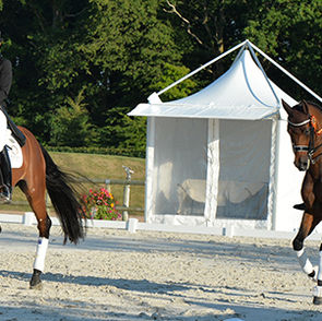 Mary’s Report from Deauville CDI, France