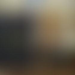 Mary Hanna and Calanta represent Australia at the 2020 Tokyo Olympic Games