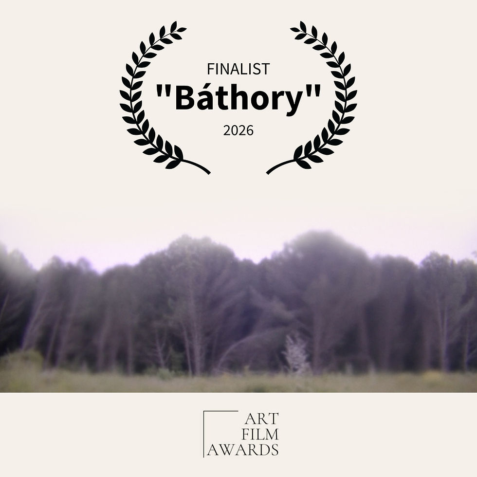 "Báthory" - Art Film Awards