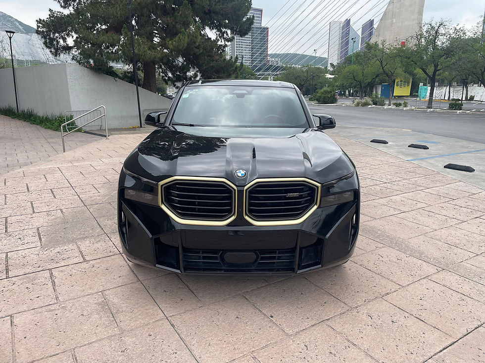 Miniatura: BMW XM PHEV V8 2023 🏷️MS