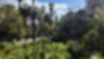 An Elevated view of the botanical garden showing trees, bushes and various different plant life, with a sky crane in the background showing this garden is in the middle of a bustling city