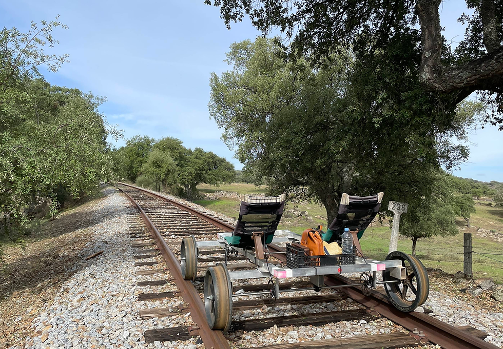 Rail-cart with two seats and items on a countryside track, surrounded by green trees and a clear sky. A marker shows "206".