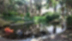 A pond in the Lisbon botanical garden that shows a statue of an orange fish flipping out the water, as well as real ducks swimming around