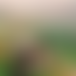 Ecotourism in Portugal: A Complete Guide to Sustainable Travel