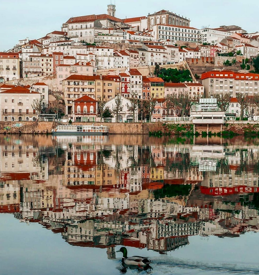 Coimbra: Your Ultimate Tourist Guide to Portugal's Historic University City