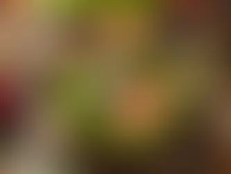 The Role of Nutrition in Managing Anxiety and Depression