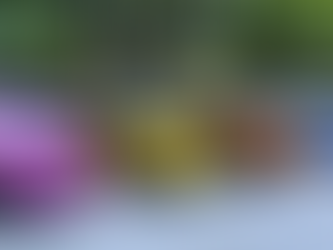 Are Mokes Street Legal in South Florida and Are They Dangerous for Accidents?