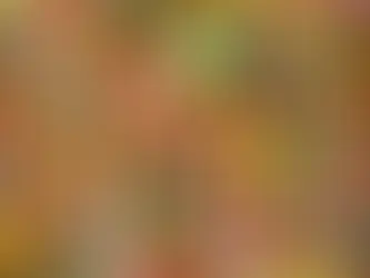 Signs and Symptoms of Binge Eating Disorder: What to Look For