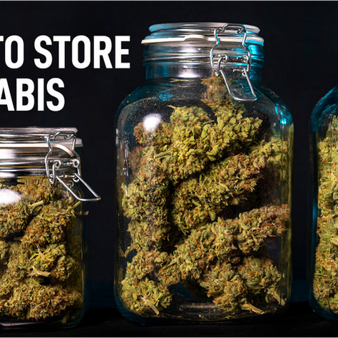 Best Way to Store Medical Marijuana for Long Term