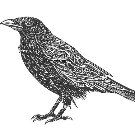 Crow (2).jpg