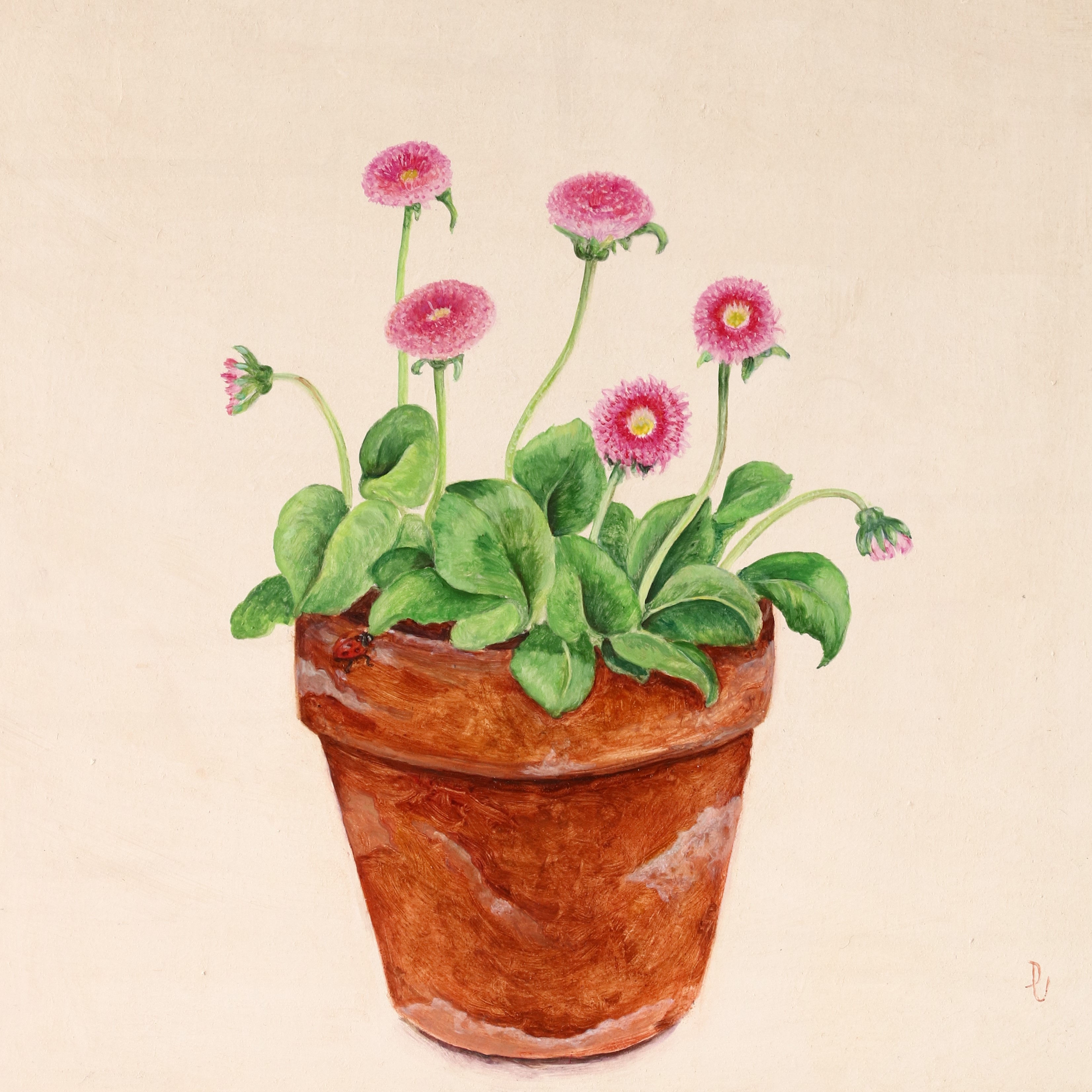 Ladybird, ladybird (Bellis Perennis and Ladybird) Original Oil Painting