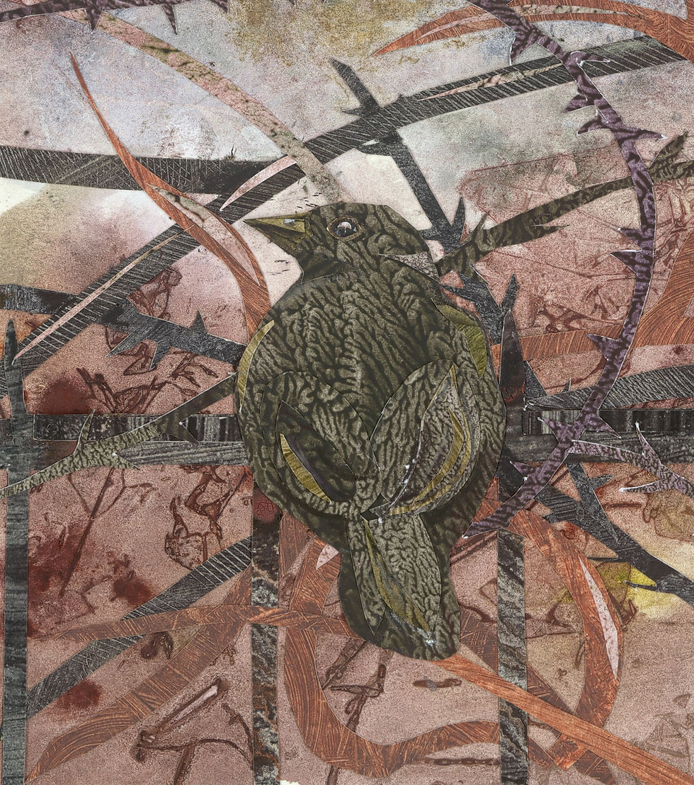 Thumbnail: Where the Blackbirds Settle