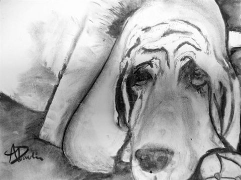 Penny in Charcoal