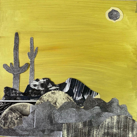 Desert Views.jpeg