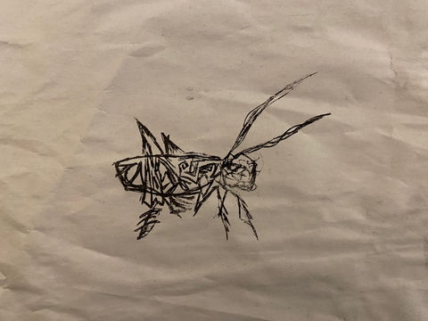 Geometric Grasshopper