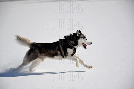 _DSC3313_PerfectlyClear.jpg