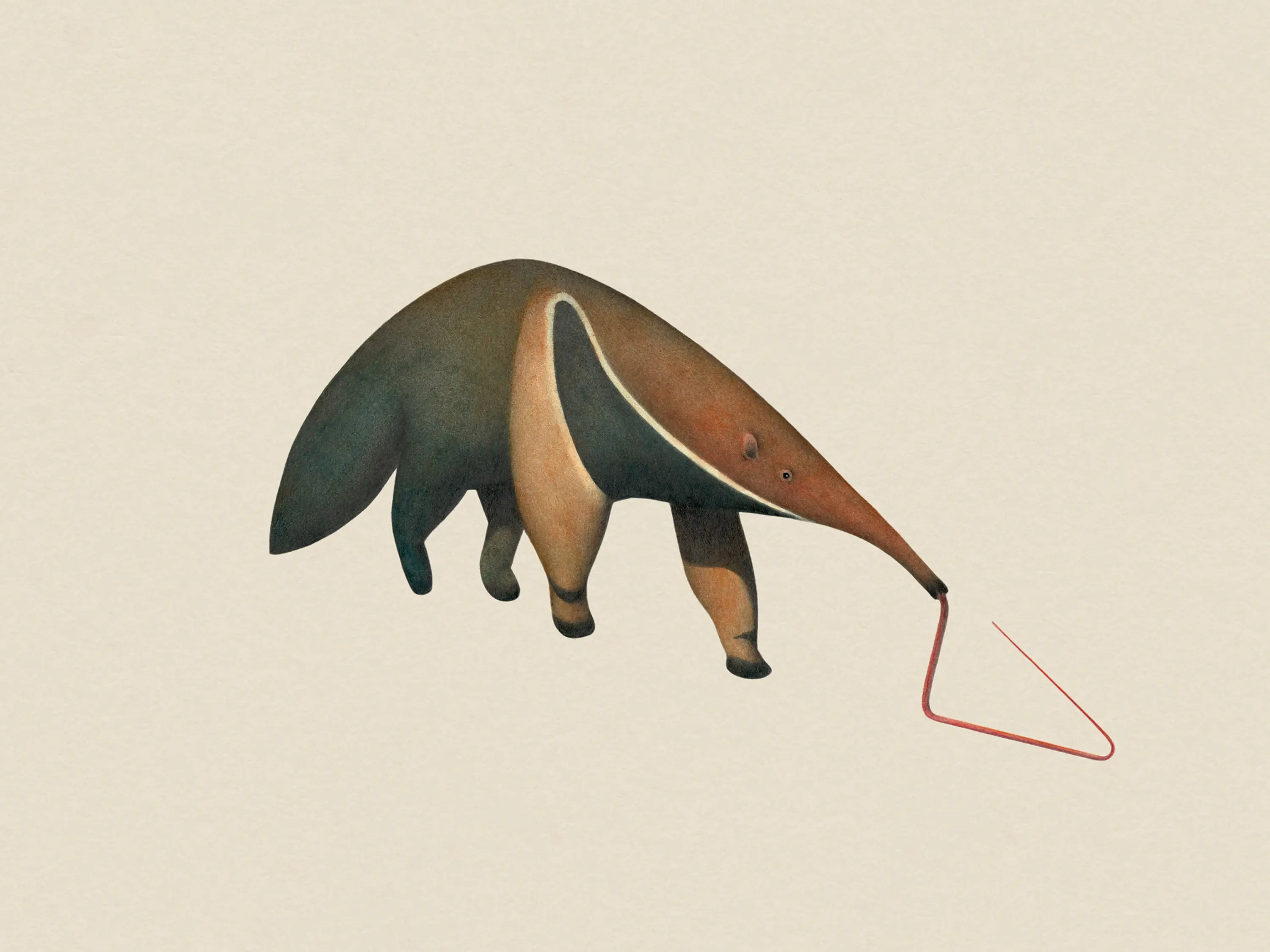 The Pythagoeran Anteater Giclée Print