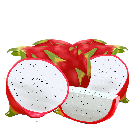 Dessin d'un fruit du dragon couper