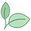 icons8-natural-food-80.png