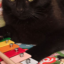 PABLO