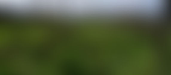 27 et 28 février : taille, palissage et AG