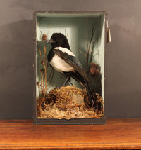 Magpie