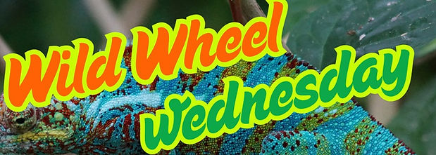 WWW Flyer_edited.jpg