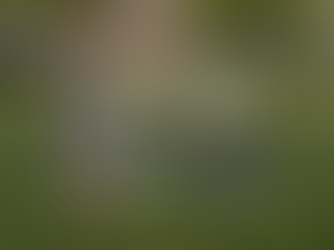 Fitnesskurse für Mütter in Düsseldorf