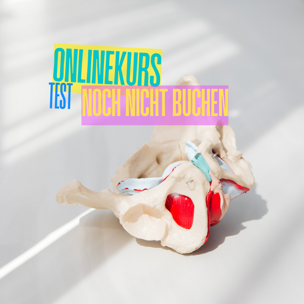 Beckenbodenmodell miofit