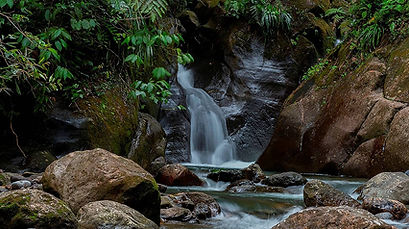 Un nouveau site internet pour les Parcs nationaux